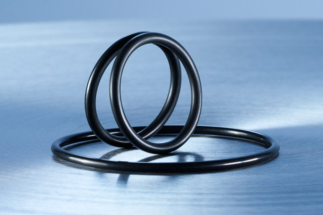 O-RING 25x1,5 P 300